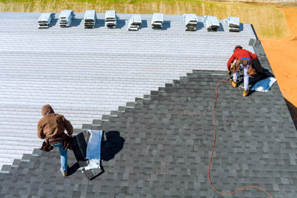 Best Roof Replacement Cost  in La Homa, TX