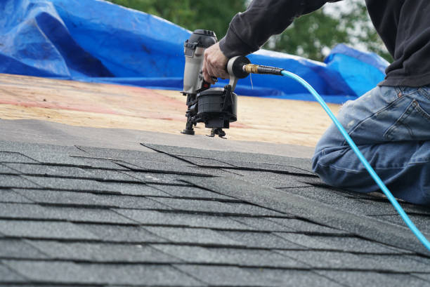 Best Roof Gutter Cleaning  in La Homa, TX