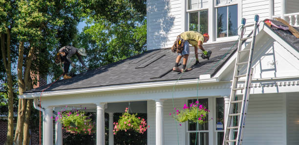 Roof Waterproofing Services in La Homa, TX