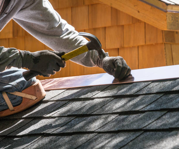Best Roof Maintenance Services  in La Homa, TX
